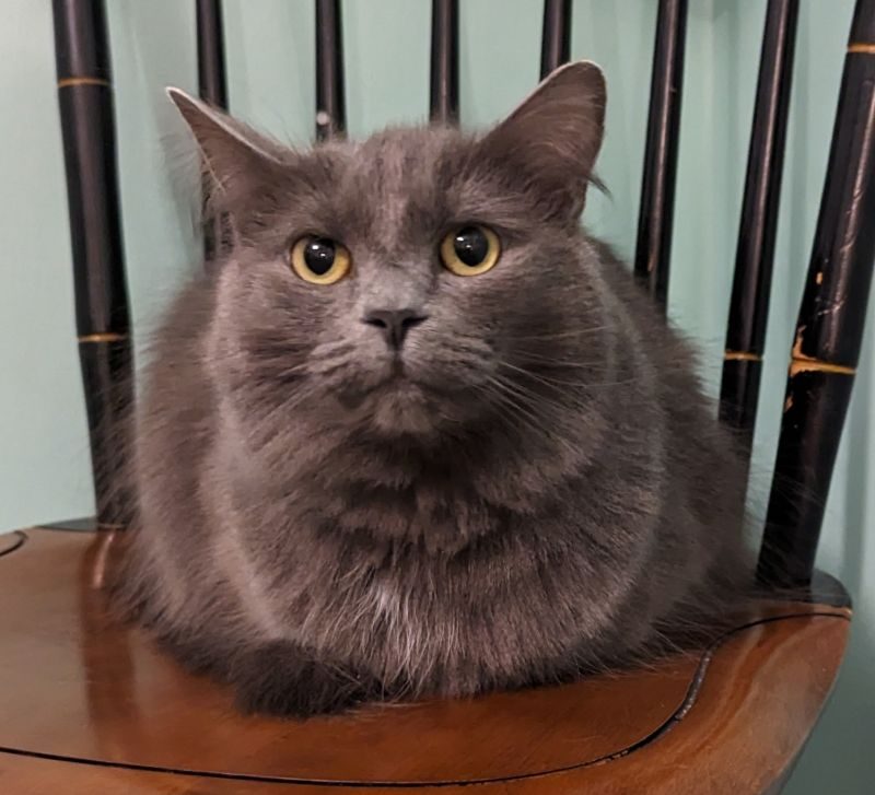 raindrop on chair raindrop on chair